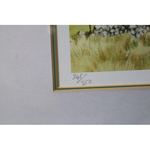 492 - Judy Boyes: Two Signed Framed and Glazed Limited Edition Prints of Lake District Scenes One Depicts ... 