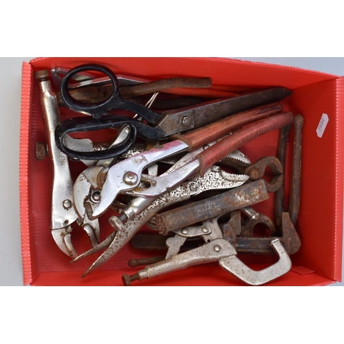 812 - Large selection of mole grips, welding clamp, scissors, 2 pipes wrenchs and more