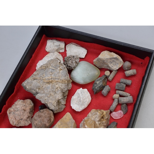 166 - Collection of rare rocks & minerals & fossils