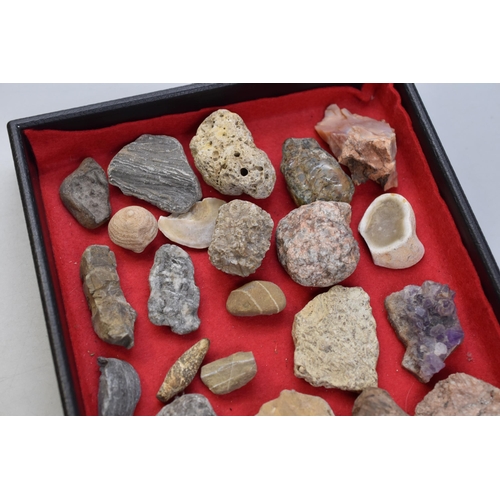 166 - Collection of rare rocks & minerals & fossils