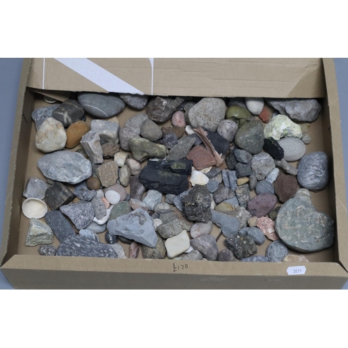 785 - Large collection of rare rocks, minerals, fossils