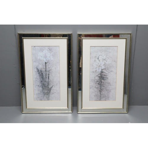 501 - A Pair of Mirror Framed Botanical Prints, Approx 33