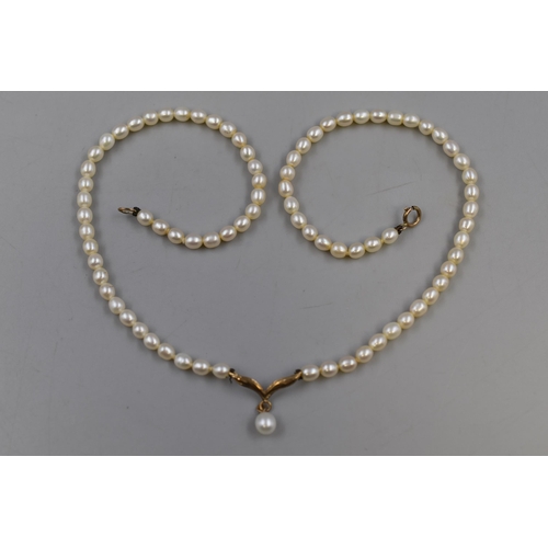 72 - Necklace with Gold (375) 9ct Clasp and Pendant (16