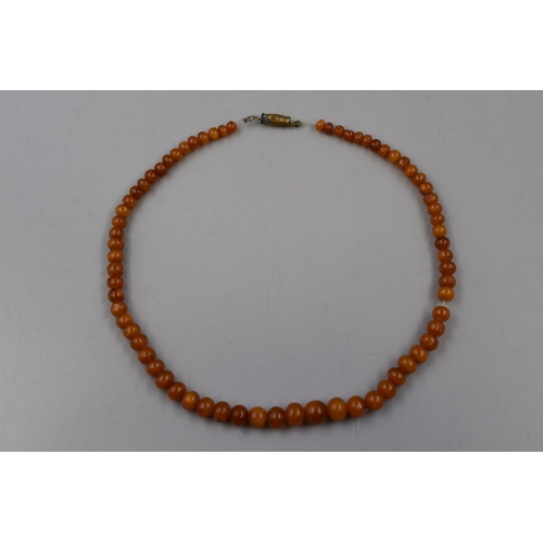 140 - Graduated Butterscotch Amber beaded Necklace (16