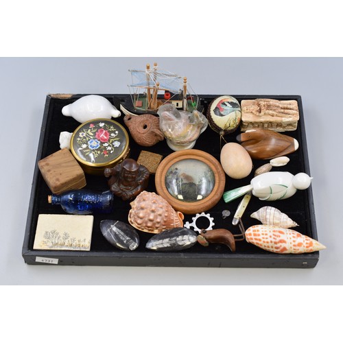 144 - Selection of little items to include, a Buddha, shells, wooden and pot animals, glass and more