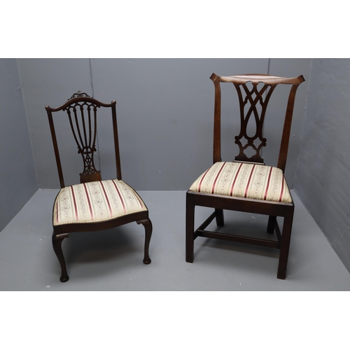 692 - Pair of Edwardian Chippendale Style Chairs in Re-Upholstered Condition to include a Low Chair Both S... 