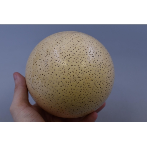 233 - A Large Blown Ostrich Egg, Approx 7