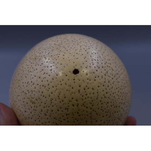 233 - A Large Blown Ostrich Egg, Approx 7