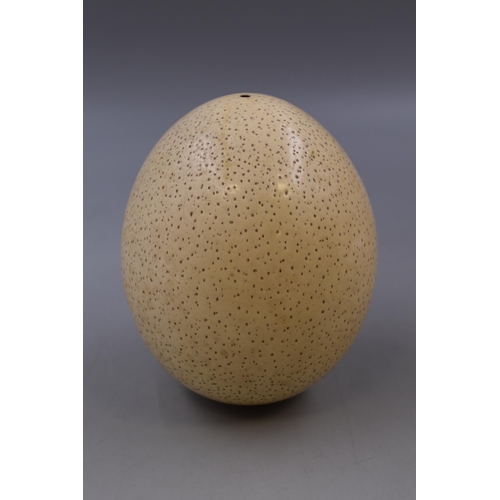 233 - A Large Blown Ostrich Egg, Approx 7