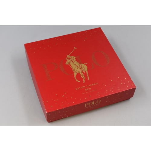 246 - POLO RALPH LAUREN RED Set