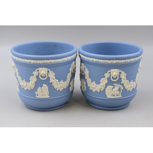 263 - Pair of Wedgwood Jasperware Planters Displaying Classical Scenes (5