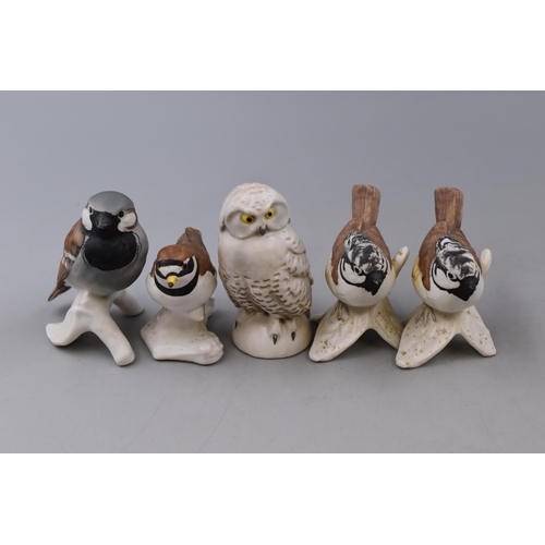 294 - Five Porcelian Goebel Bird Figures, Includes Snowy Owl, Ringed Plover, Sperling Sparrow, And Crested... 