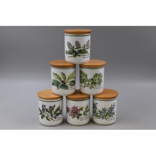 301 - Royal Worcester Ceramic Herb Pots with Wooden Lids