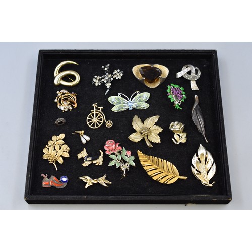 176 - Tray of Various Vintage Brooches to include Hollywood Brooches, Floral and many more. Also includes ... 