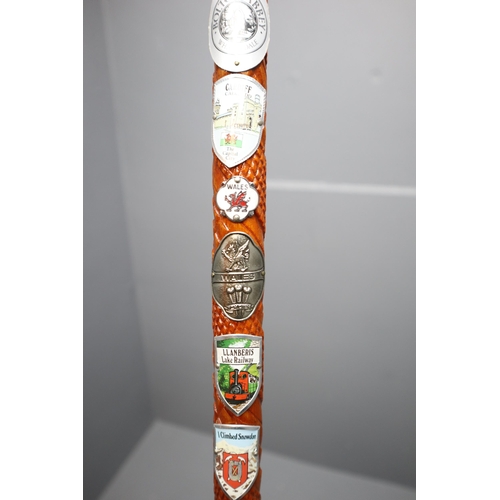 632 - Seven Walking Sticks, Six of Which Full of Various Walking Badges. Includes Duck and Eagle Handled