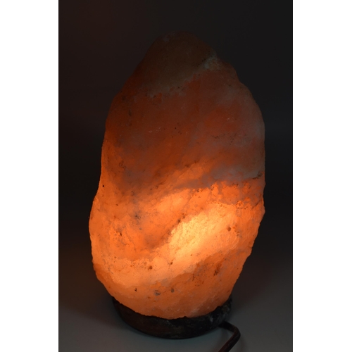 304 - A Pink Himalayan Salt Lamp, Lights Up