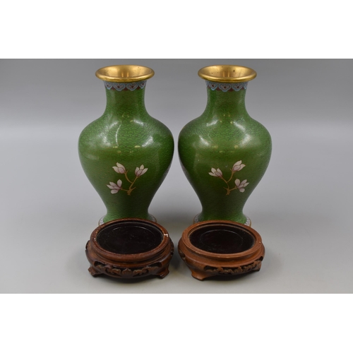 254 - Pair of Cloisonne Vases Standing on Wooden Plinths (10