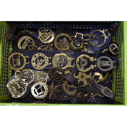 758 - Large Selection of Brass and Leather Horse Brasses