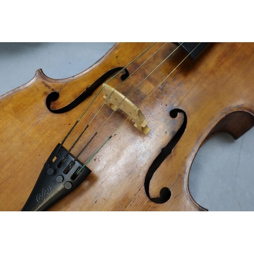 491 - A Full Size Cello With Bausch Bridge. With Bows, Spare Strings, And Carry Case