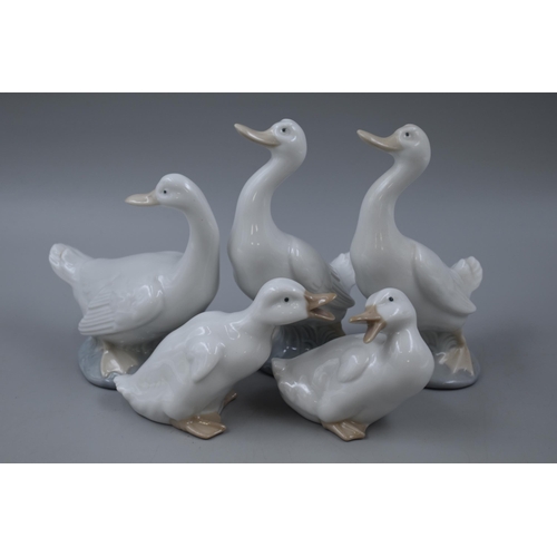 223 - Nao By Lladro, Collection of Five Porcelain Geese Figures, Unboxed