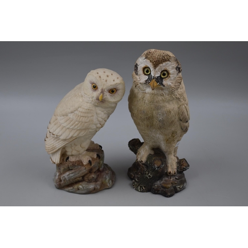 239 - Two Owl Figures To Include Aynsley 'Snowy Owl', And Other (AF, Approx 9