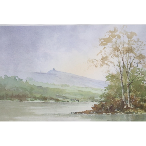 856 - A Framed and Glazed Limited Edition (401/500) Terry Halpin 'Mist Over Rivington Pike' Print (Approx ... 