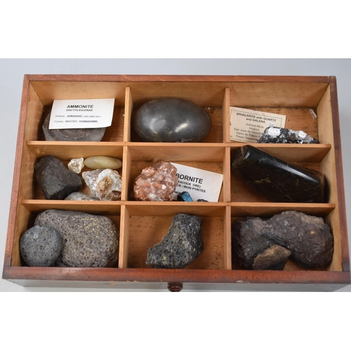 249 - Mixed lot of gemstones and fossils tray not included, these include ammonite, sphalerite with quartz... 