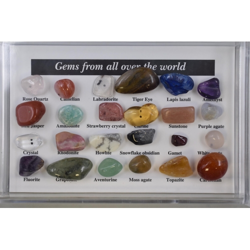 252 - Two Cases Containing Gems From around the World