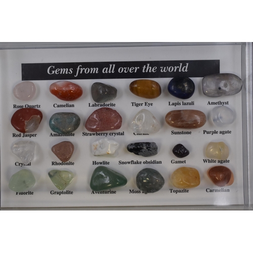 252 - Two Cases Containing Gems From around the World