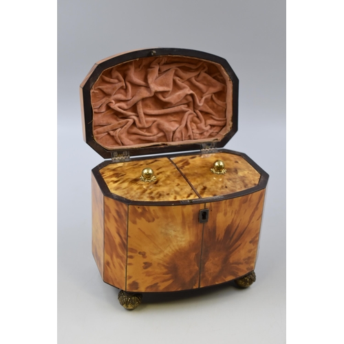 391 - 19th Century Burl Veneered Cutaway Tea Caddy with Domed Lid and Two Interior Compartments, and Compl... 