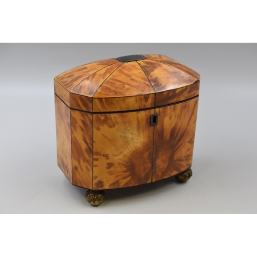 391 - 19th Century Burl Veneered Cutaway Tea Caddy with Domed Lid and Two Interior Compartments, and Compl... 