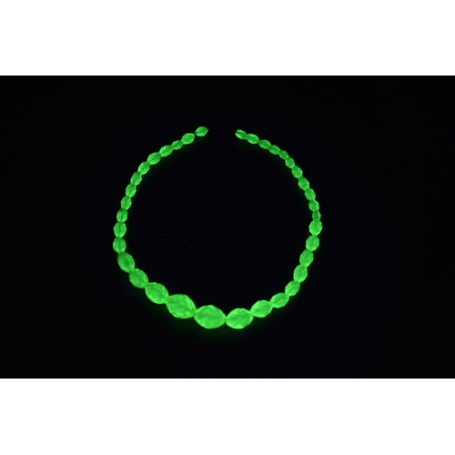 107 - An Antique Graduated Uranium Glass Beaded Necklace, In Presentation Box