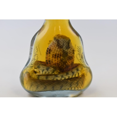 229 - Cobra snake in a small bottle of alcohol (4