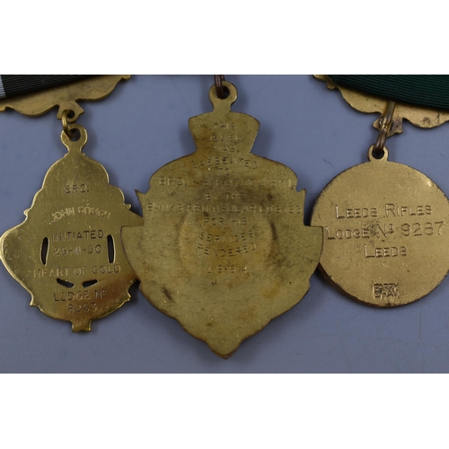 236 - Three Royal Antedulivian Order of Buffaloes Buffaloes Medals To Include Banks Peninsular Lodge, Hear... 