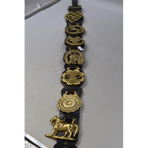 303 - Selection of Horse Brasses on Leather Strap