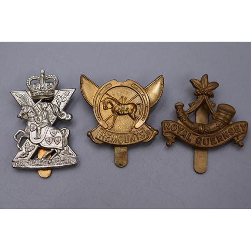 247 - Selection of 3 Military Badges including Royal Guernsey, Fife & Forfar Scots Yeomanry and Army R... 