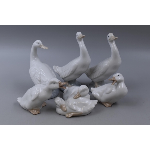 254 - Six Nao By Lladro Porcelain Geese Figures, Tallest Approx 15cm