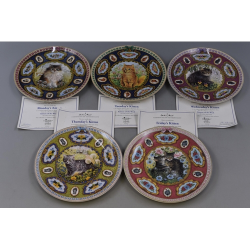 339 - A Set of Eight Coalport Danbury Mint 'Kittens of The Week' Collectors Plates, With Certificates of A... 