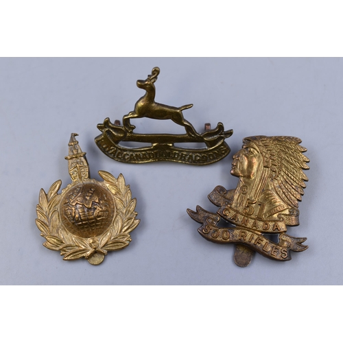 251 - Three Military Badges including Royal Canadian Dragoons, Canadian Army 51st Rifles Regiment and Roya... 