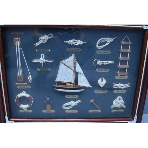 450 - Three Vintage Items To Include Framed and Glazed Nautical Knots, Framed and Glazed Taxidermy Butterf... 