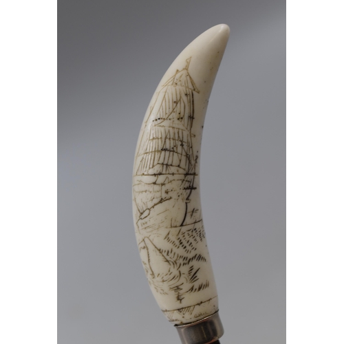 139 - An Unusual Scrimshaw Handle Letter Opener