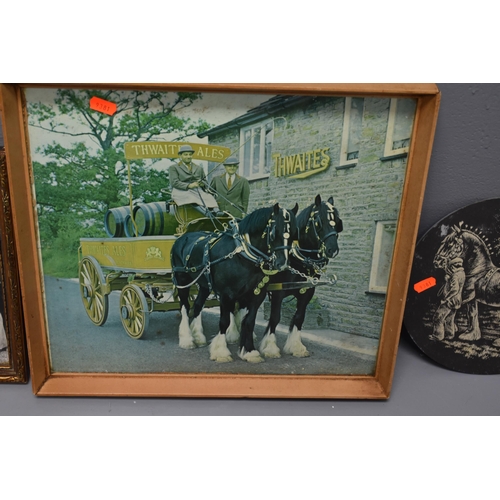 667 - Two Framed Photographs of Thwaites Shire Horses, With Two Wall Mounted Etched Slates Depicting Shire... 