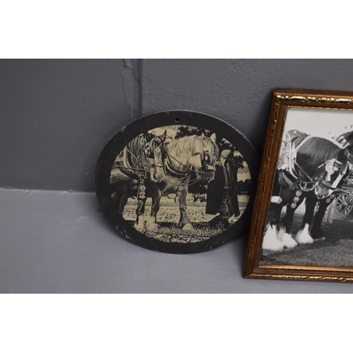 667 - Two Framed Photographs of Thwaites Shire Horses, With Two Wall Mounted Etched Slates Depicting Shire... 