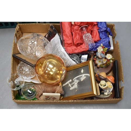 737 - A Two Box Mixed Lot To Include Starship Enterprise Photograph, Cut Crystal, Sealed Detective Kit, Wh... 