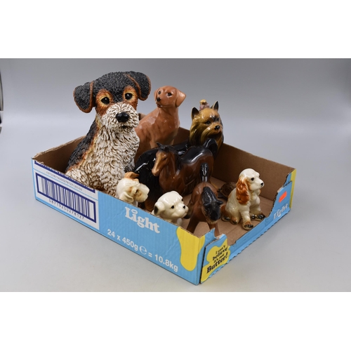 Lot 549       
