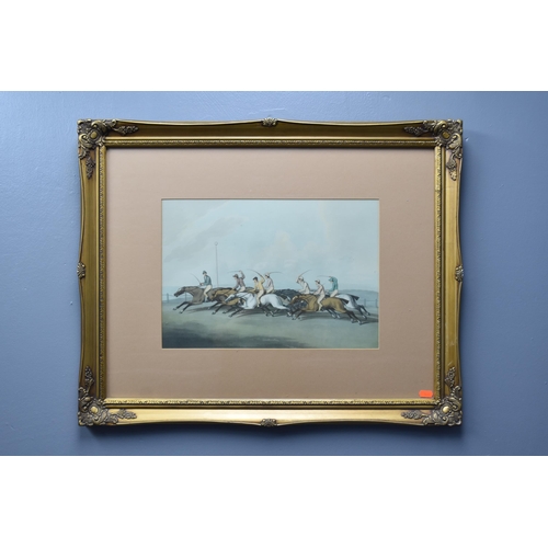 Lot 341       