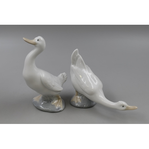 Lot 268       