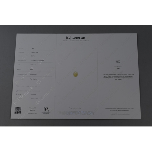 50 - Natural Cabochon Cut Opal (5.69 cts) Complete with Certificate of Authenticity