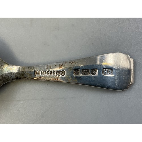 25 - Hallmarked 1908 Sheffield Silver Tea Caddy Spoon