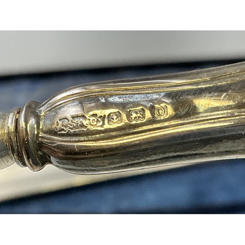 34 - Hallmarked Birmingham Silver Handled Shoe Horn and Button Hook Set in Case (24cm)